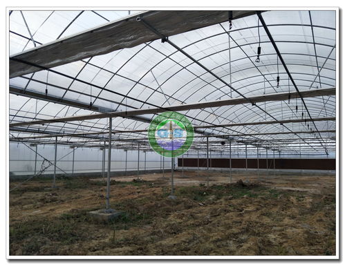 河南南阳卧龙区高档连栋薄膜温室大棚建成投产
