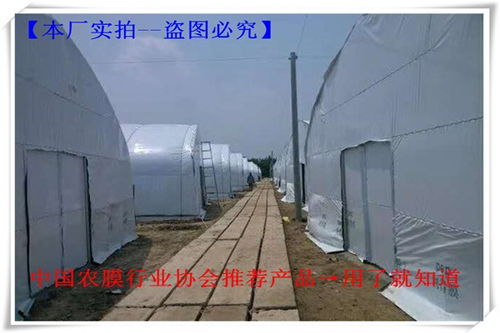 余江8丝10丝12丝白色大棚薄膜 畅销全国