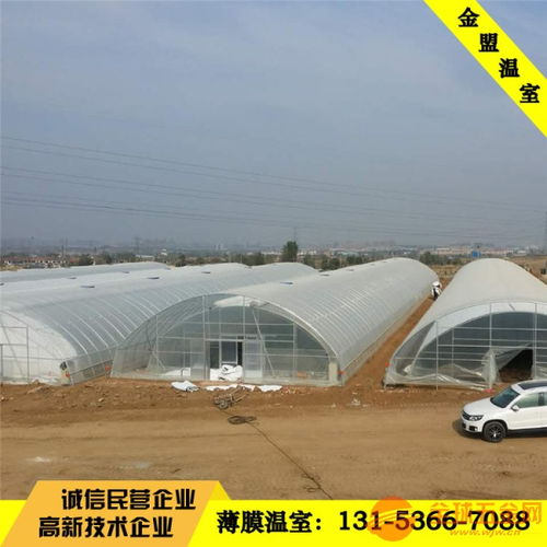 泉州花卉种植薄膜温室大棚 平米价格与实用价值全解析