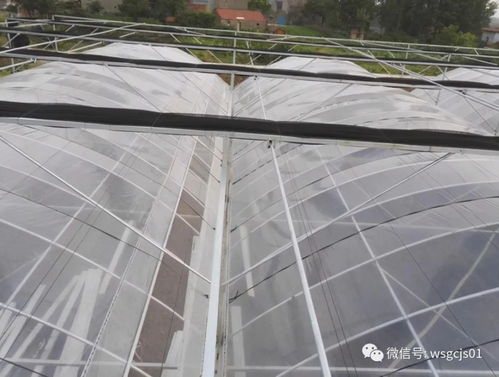 智能温室大棚核心 齿条推拉遮阳系统安装标准才算真合格