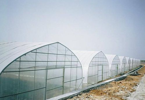 拱形薄膜温室大棚建设中的薄膜改进措施