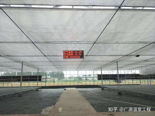 连栋薄膜温室大棚 高效利用与薄膜应用的多元场景分析